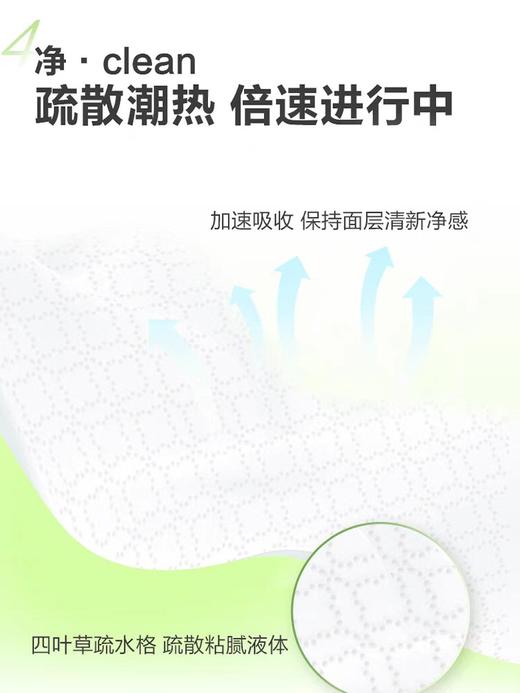 洁净由意瞬干棉350mm夜用卫生巾 8片装 商品图3