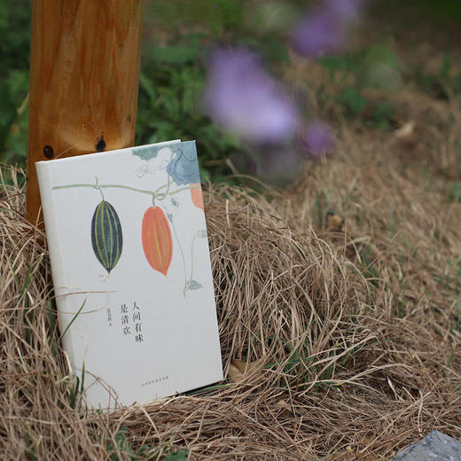 人间有味是清欢 梁实秋 著 商品图3