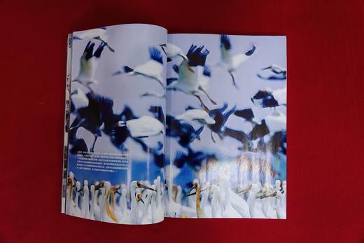 2024中国国家地理杂志 商品图1