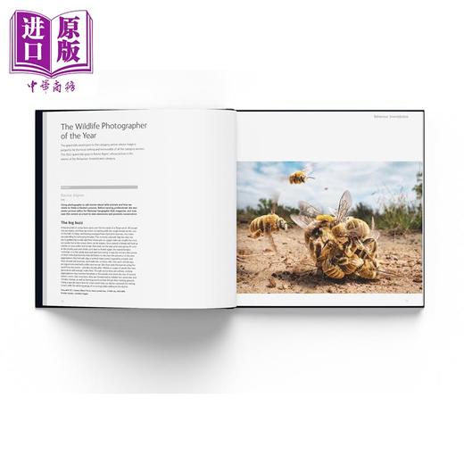 【中商原版】Wildlife Photographer of the Year: Portfolio 33 进口艺术 年度野生动物摄影师：作品集 第9卷  商品图1