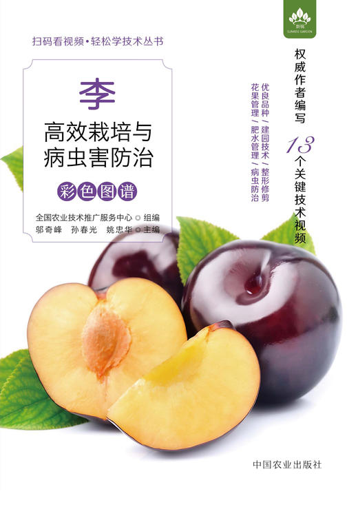 李高效栽培与病虫害防治彩色图谱 商品图4
