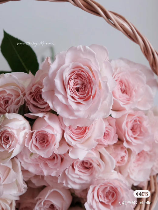 国产玫瑰-【斯佳丽】多头 商品图1