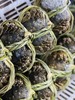 大闸蟹  足斤足两！蟹农养了自己吃的，完全不一样，吃过这个你会觉得以前吃的是假蟹！ 商品缩略图7