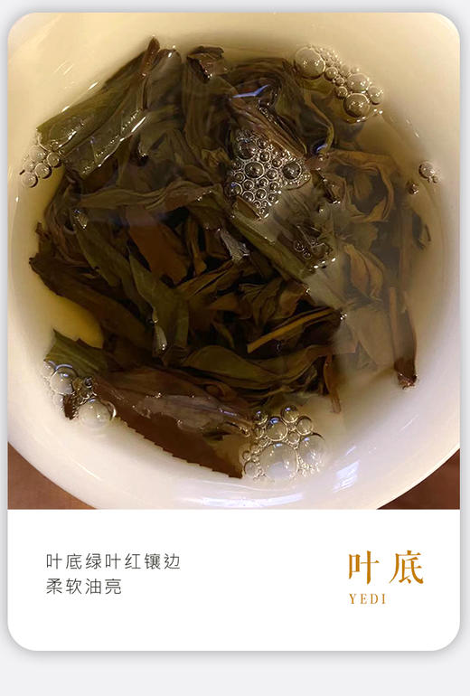 凤凰单丛 | 宋茶荟 2024年春茶 蜜兰香50G/罐 商品图4