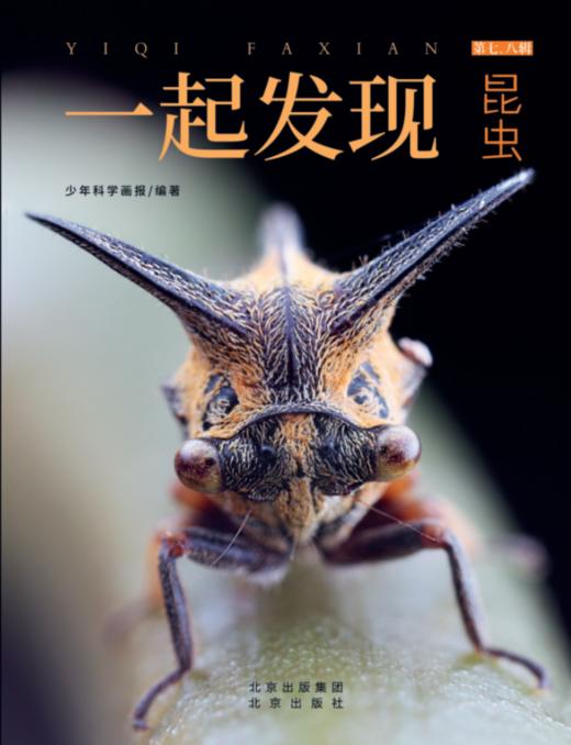 2023年《一起发现》过刊优惠随机3本 商品图9