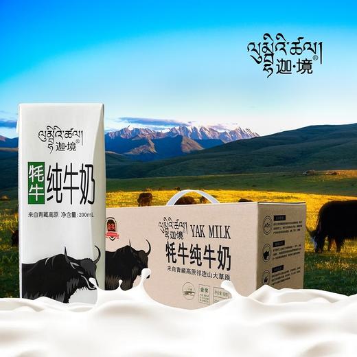 迦境青藏祁莲牦牛奶纯牛奶 无添加剂来自高原的全脂牛奶早餐奶200ml×10盒/箱 商品图3