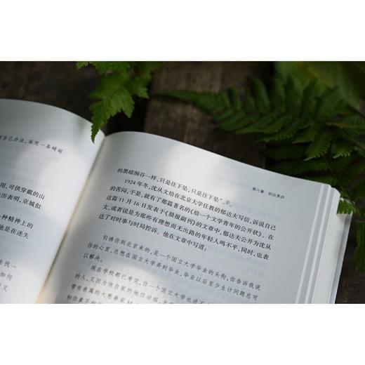 大学问·乡下人：沈从文与近代中国（1902—1947）孙德鹏 著 商品图4