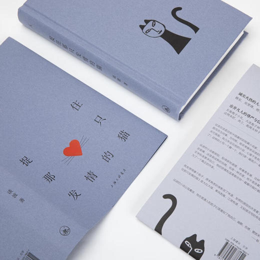 【签名本】捉住那只发情的猫 谈波 著 商品图1