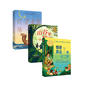 怕说真话的十二岁+仰望星空的骆驼+山谷里的秘密（套装3册）