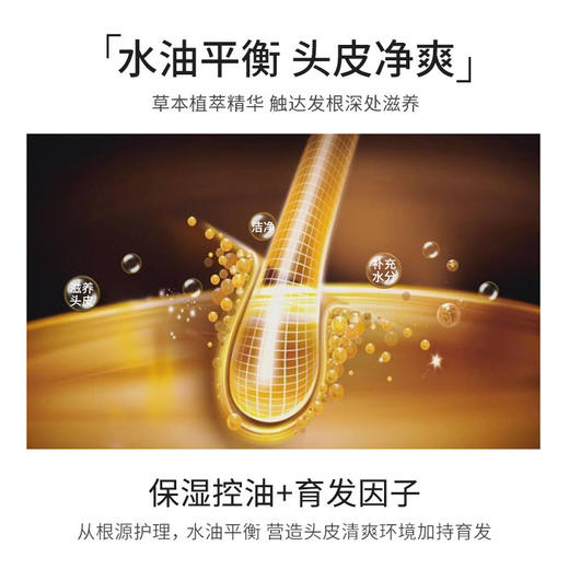 限时特价【蓬松去油，防脱固发】肌琳莎一枝春防脱洗发液控油柔顺丝滑滋润发根去屑止痒洗发水，防脱养护，轻盈控油，秀发柔顺丝滑。ry 商品图1