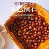 【秒杀】东北大榛子500g/袋*2袋 商品缩略图0