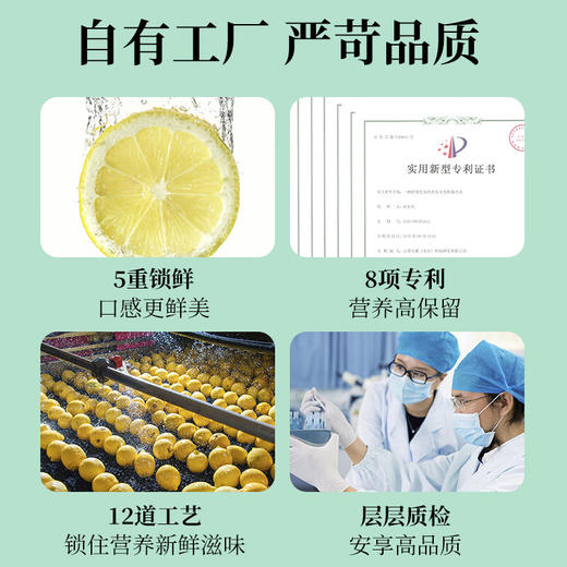 草木方 冻干柠檬片100g 草木之间有良方 商品图6