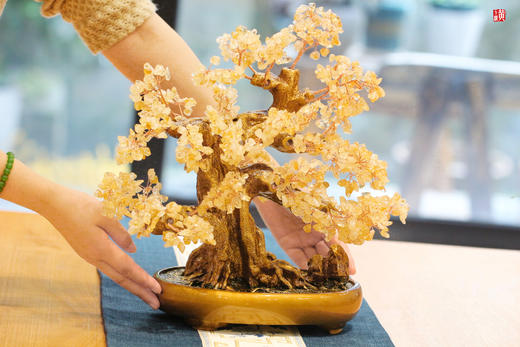 天然黄水晶【发财树】摆件 商品图4