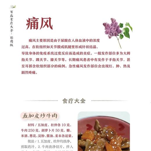 百病食疗大全彩图版正版中医养生食疗书籍图解中医养生大全中医入门 商品图3