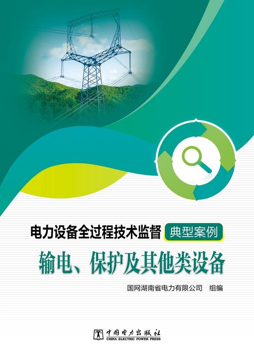 电力设备全过程技术监督典型案例  输电、保护及其他类设备 商品图1