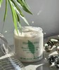 【品牌授权】伊丽莎白雅顿绿茶蜜滴身体乳霜250ml 商品缩略图1