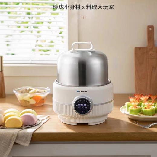 (包邮)蓝宝迷你多功能电蒸锅BP-YG01（两种颜色） 商品图0