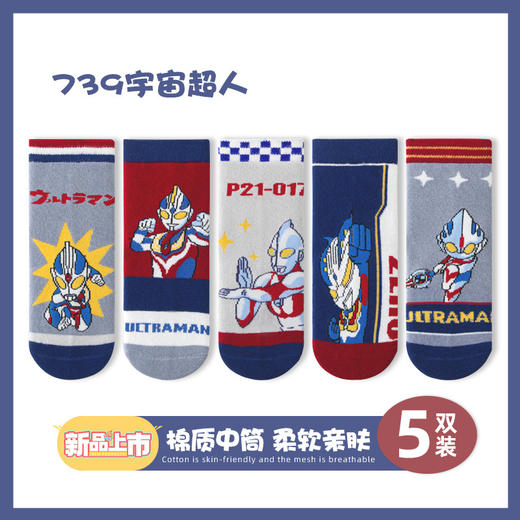 秋冬【5双装宝宝棉袜】儿童袜子卡通可爱棉袜 中大童袜子敏榴 商品图6