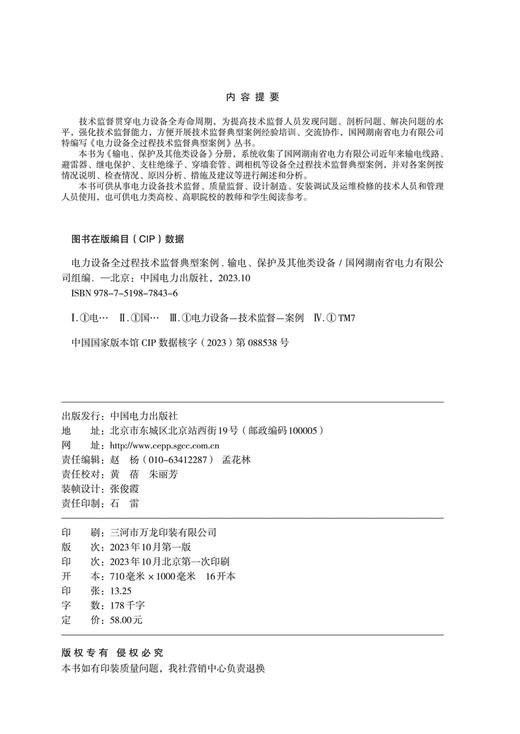 电力设备全过程技术监督典型案例  输电、保护及其他类设备 商品图3