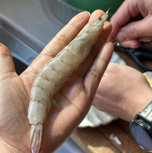 真正海捕大虾🍤顺丰冷链到家！青岛大虾 饱满又鲜嫩！虾体通透个大体肥，虾肉紧致Q弹（毛重四斤） 商品图8