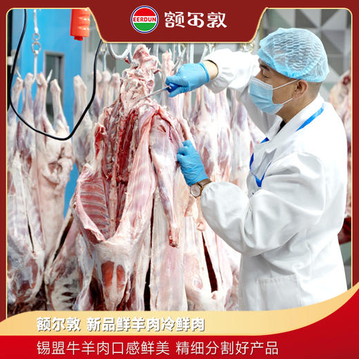 【鲜肉】额尔敦新品鲜羊肉冷鲜肉 商品图0