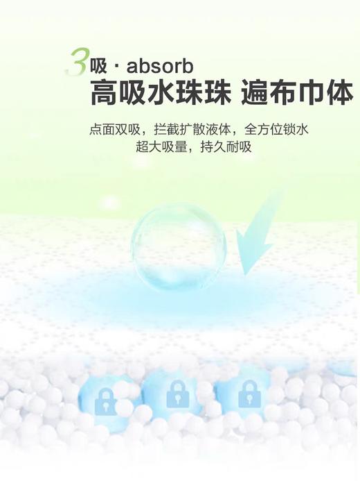 洁净由意瞬干棉350mm夜用卫生巾 8片装 商品图4