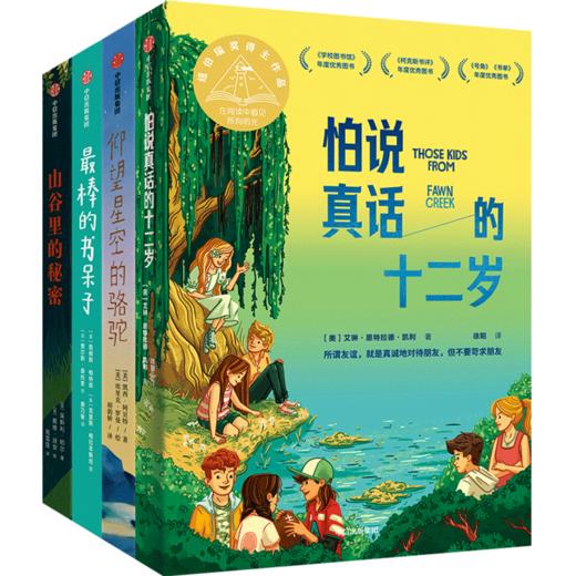 怕说真话的十二岁+仰望星空的骆驼+山谷里的秘密（套装3册） 商品图1