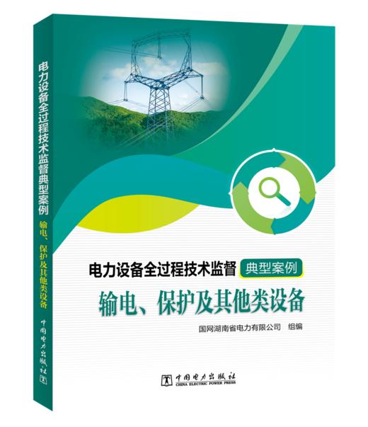 电力设备全过程技术监督典型案例  输电、保护及其他类设备 商品图0