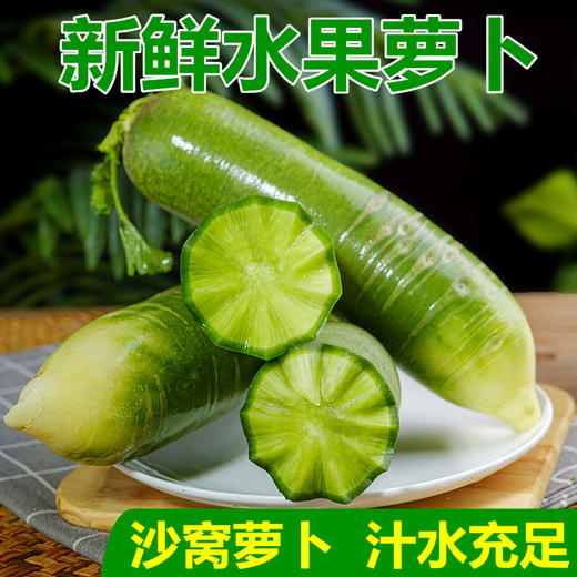 优选|天津沙窝萝卜  新鲜水灵  绿如翡翠  清甜爽口  5斤 商品图4