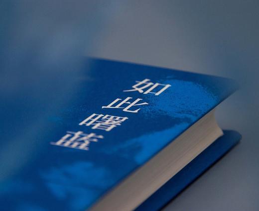 如此曙蓝（加）张翎 著 商品图2