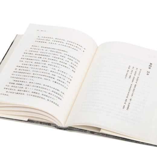 梁庄十年 梁鸿 著 商品图4