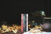 《杨本芬作品集：豆子芝麻茶+秋园+浮木+我本芬芳》全4册 商品缩略图3