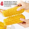 好吃到没朋友延边雪山有机黄糯玉米古老品种出口标准速冻软糯清甜 商品缩略图4