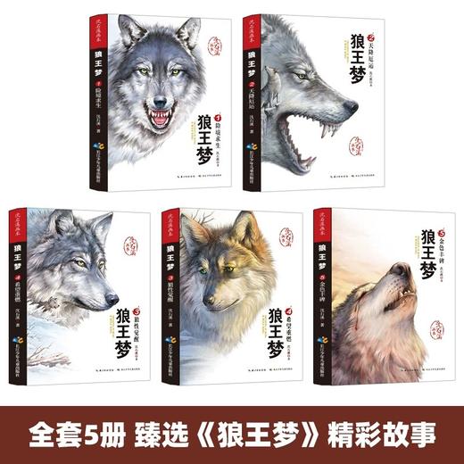 沈石溪画本一狼王梦（套装全5册） 商品图1