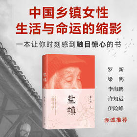 盐镇 易小荷 著