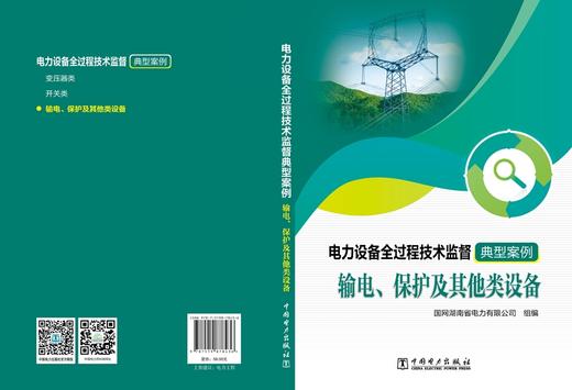 电力设备全过程技术监督典型案例  输电、保护及其他类设备 商品图2