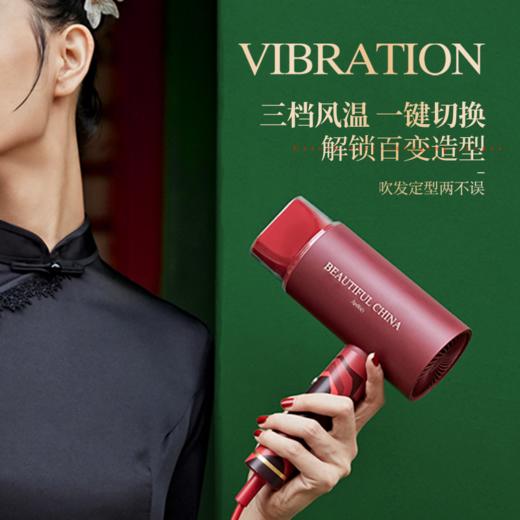 【荷兰艾优 Apiyoo】国风系列牙刷保温杯吹风机豪华套装-（GC-3）  商品图2