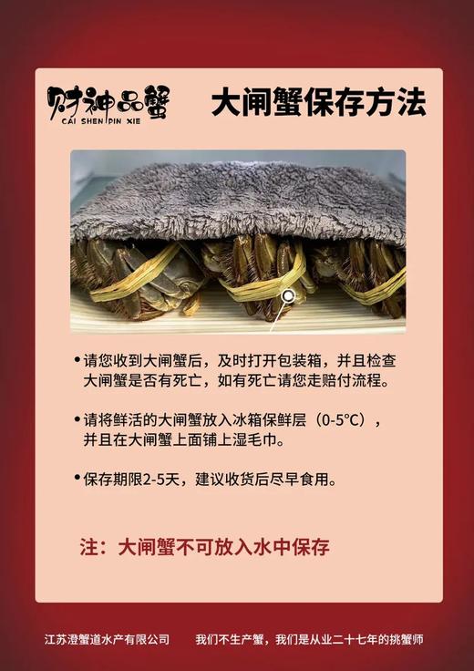 大闸蟹  足斤足两！蟹农养了自己吃的，完全不一样，吃过这个你会觉得以前吃的是假蟹！ 商品图8