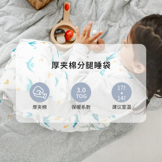 【Nest Designs】卡尔联名 婴儿睡袋 秋冬纱布长袖儿童厚夹棉 商品图2