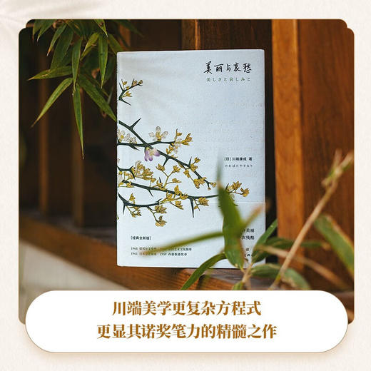 美丽与哀愁 商品图2