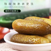 喀秋莎俄式乳黄瓜罐头 商品缩略图2