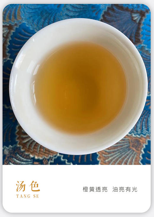 凤凰单丛 | 宋茶荟 2024年春茶  凤凰单枞 八仙50G/罐 商品图3