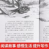沈石溪画本一狼王梦（套装全5册） 商品缩略图2