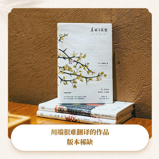 美丽与哀愁 商品图4