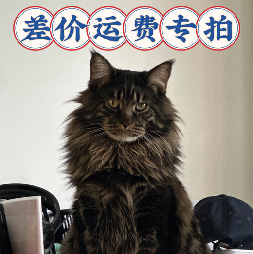 差价运费专拍 商品图0