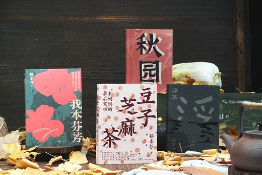 《杨本芬作品集：豆子芝麻茶+秋园+浮木+我本芬芳》全4册 商品图6