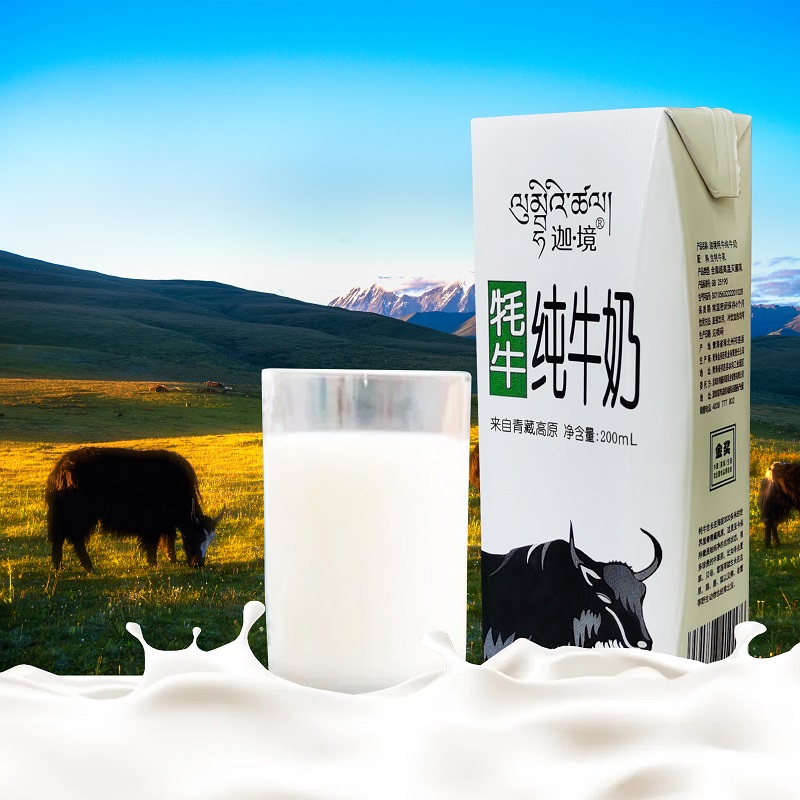 迦境青藏祁莲牦牛奶纯牛奶 无添加剂来自高原的全脂牛奶早餐奶200ml×10盒/箱