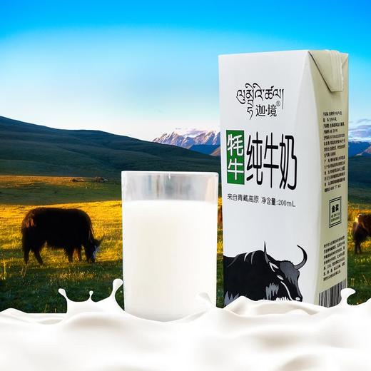 迦境青藏祁莲牦牛奶纯牛奶 无添加剂来自高原的全脂牛奶早餐奶200ml×10盒/箱 商品图0