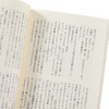 【中商原版】鵼之碑 京极夏彦百鬼夜行系列暌违17年新作 日文原版 鵼の碑 商品缩略图3