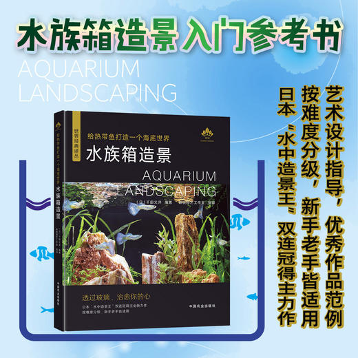 水族箱造景：给热带鱼打造一个海底世界 商品图0